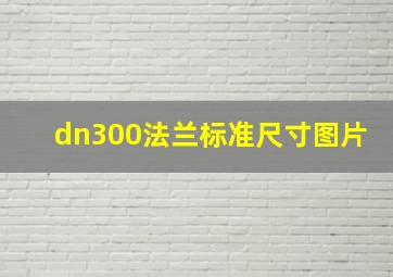 dn300法兰标准尺寸图片