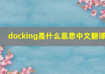 docking是什么意思中文翻译