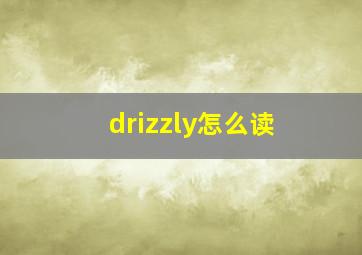 drizzly怎么读