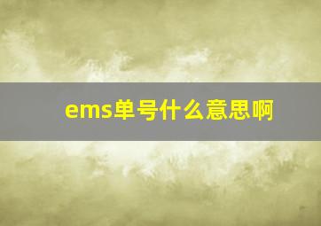 ems单号什么意思啊