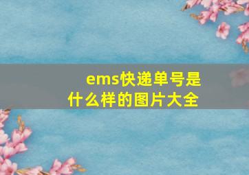 ems快递单号是什么样的图片大全