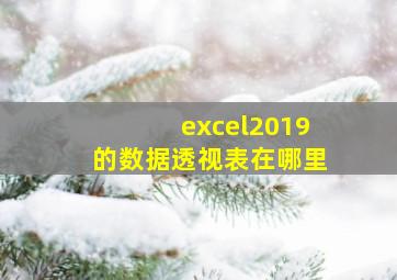 excel2019的数据透视表在哪里