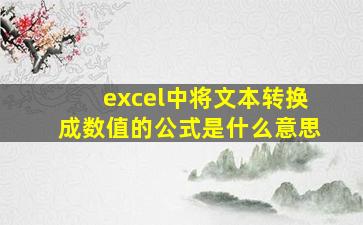 excel中将文本转换成数值的公式是什么意思