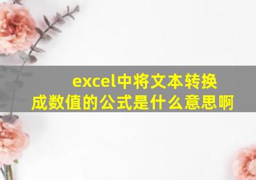 excel中将文本转换成数值的公式是什么意思啊