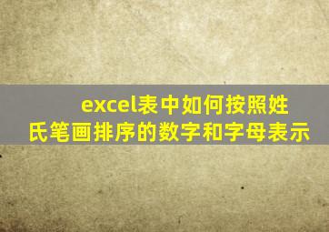 excel表中如何按照姓氏笔画排序的数字和字母表示