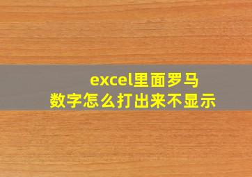 excel里面罗马数字怎么打出来不显示