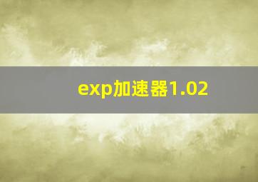 exp加速器1.02