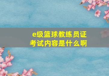 e级篮球教练员证考试内容是什么啊