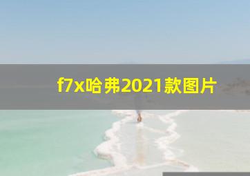 f7x哈弗2021款图片