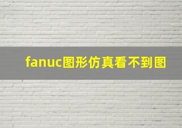 fanuc图形仿真看不到图