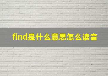 find是什么意思怎么读音