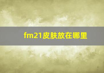 fm21皮肤放在哪里