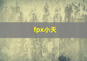 fpx小天