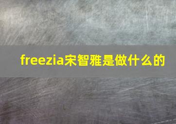 freezia宋智雅是做什么的