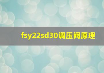 fsy22sd30调压阀原理