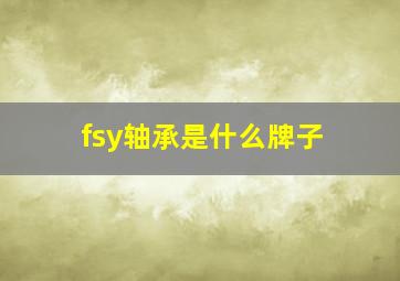 fsy轴承是什么牌子