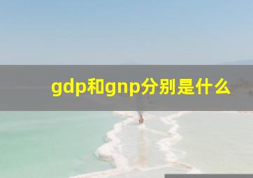 gdp和gnp分别是什么