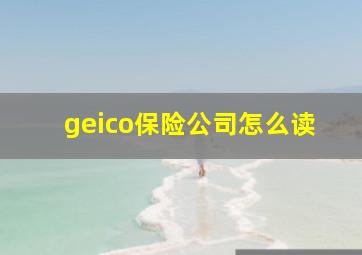 geico保险公司怎么读