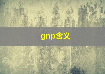 gnp含义