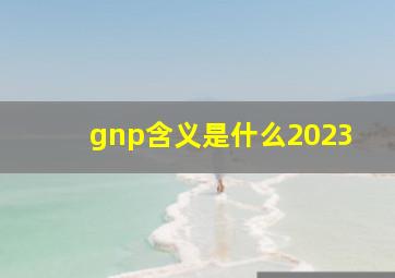 gnp含义是什么2023