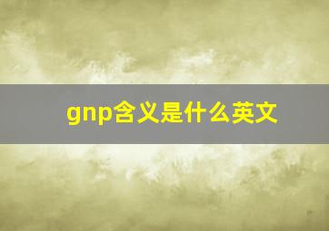 gnp含义是什么英文