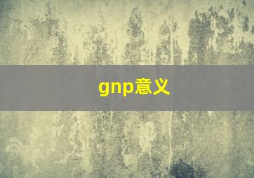 gnp意义