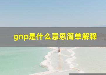 gnp是什么意思简单解释