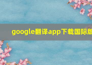 google翻译app下载国际版