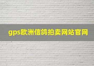 gps欧洲信鸽拍卖网站官网