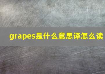 grapes是什么意思译怎么读