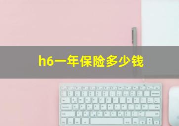 h6一年保险多少钱