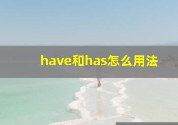 have和has怎么用法