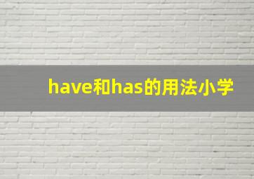 have和has的用法小学