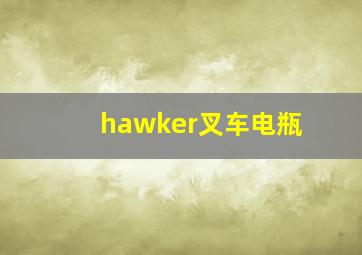 hawker叉车电瓶