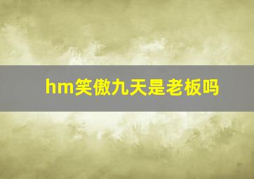 hm笑傲九天是老板吗