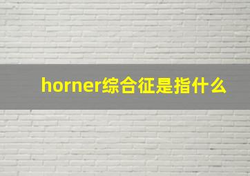 horner综合征是指什么