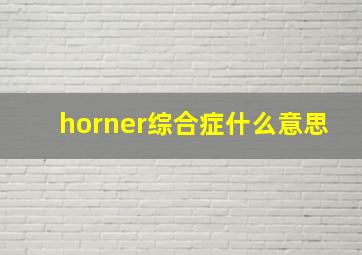 horner综合症什么意思