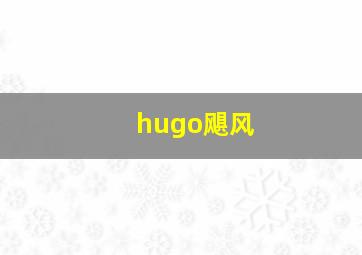 hugo飓风