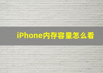 iPhone内存容量怎么看