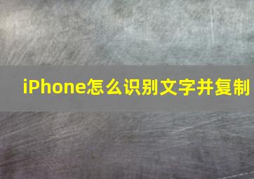 iPhone怎么识别文字并复制