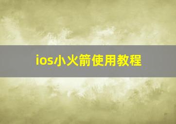 ios小火箭使用教程