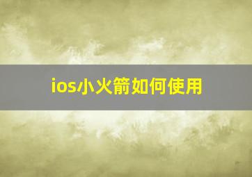 ios小火箭如何使用