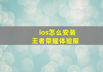 ios怎么安装王者荣耀体验服