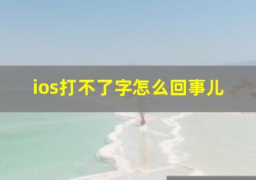 ios打不了字怎么回事儿