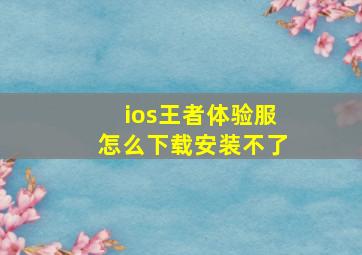 ios王者体验服怎么下载安装不了