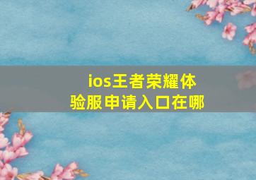 ios王者荣耀体验服申请入口在哪