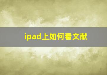 ipad上如何看文献