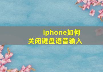 iphone如何关闭键盘语音输入