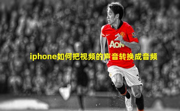 iphone如何把视频的声音转换成音频