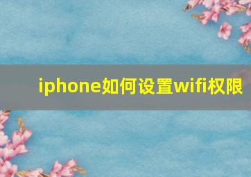 iphone如何设置wifi权限